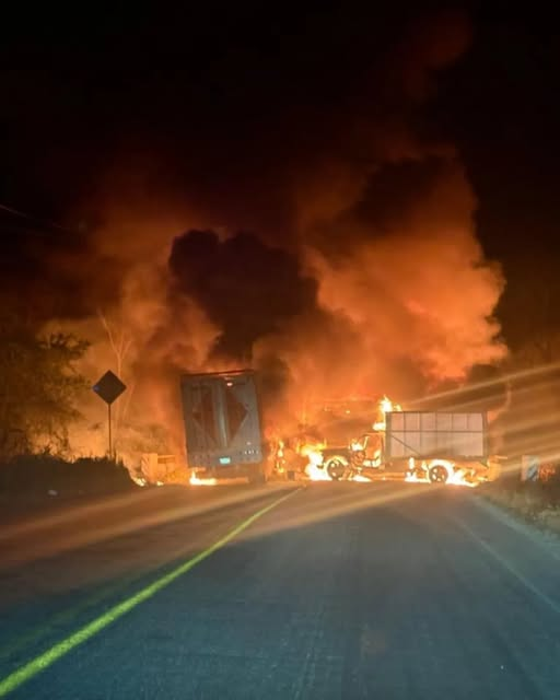 Jalisco bajo fuego Jalisco bajo fuego
